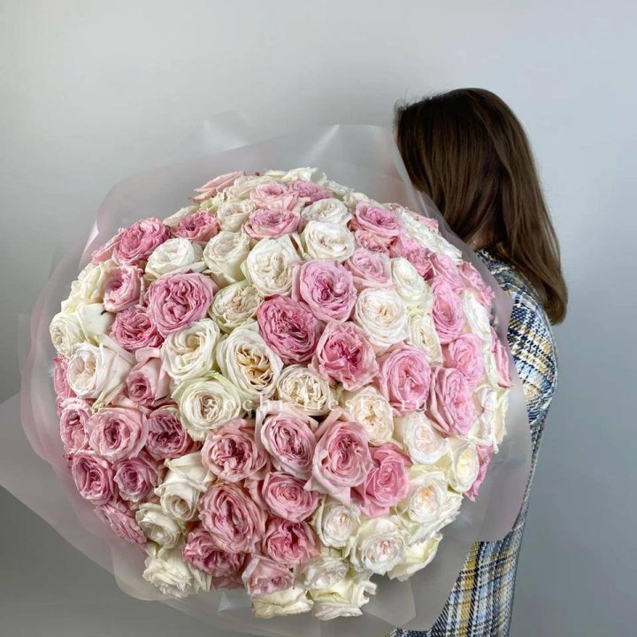 101 роз Охара в Севастополи