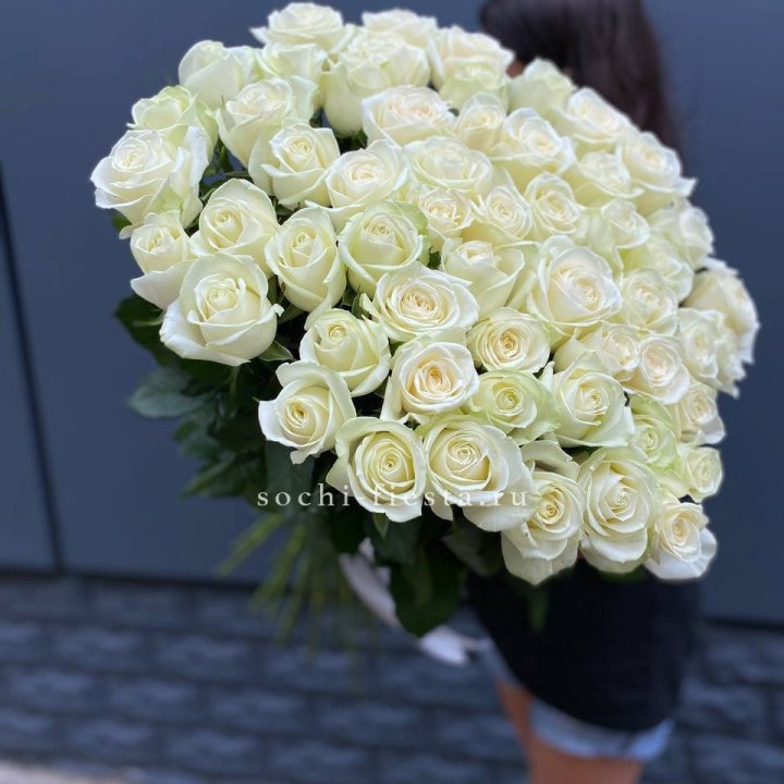 51 белоснежная высокая роза в Севастополи