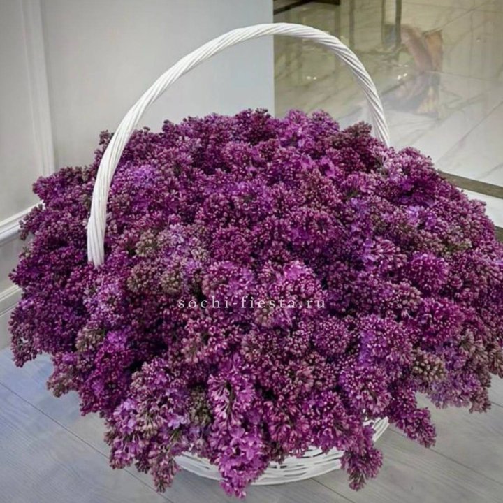Корзина сирени в Севастополи