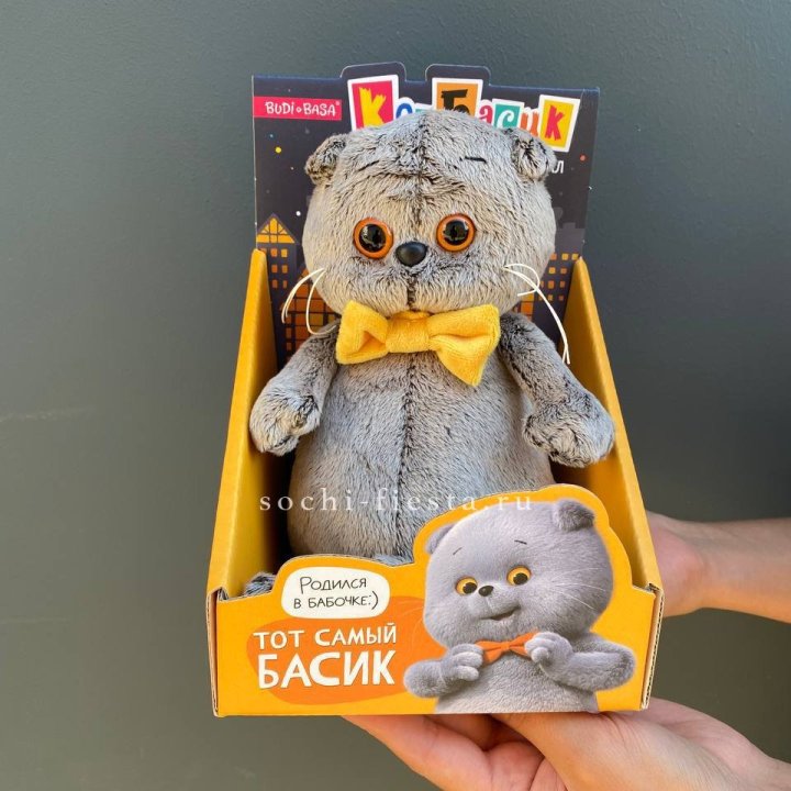 Кот Басик с бабочкой в Севастополи