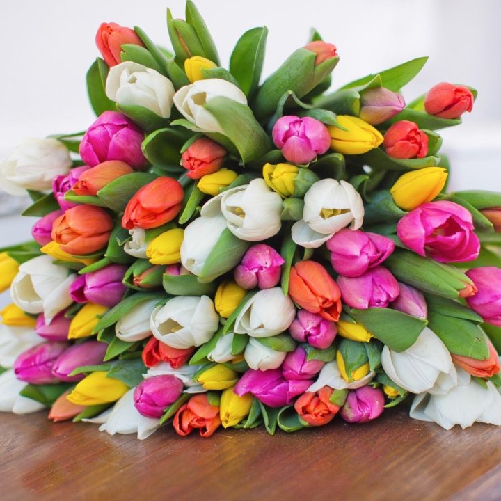 79 тюльпанов "Рандом" в Севастополи