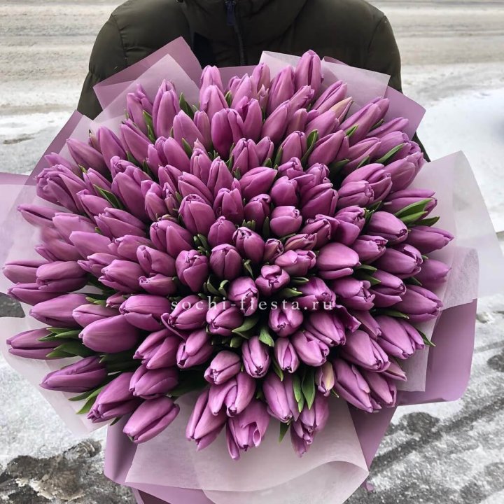 101 сиреневый тюльпан в Севастополи