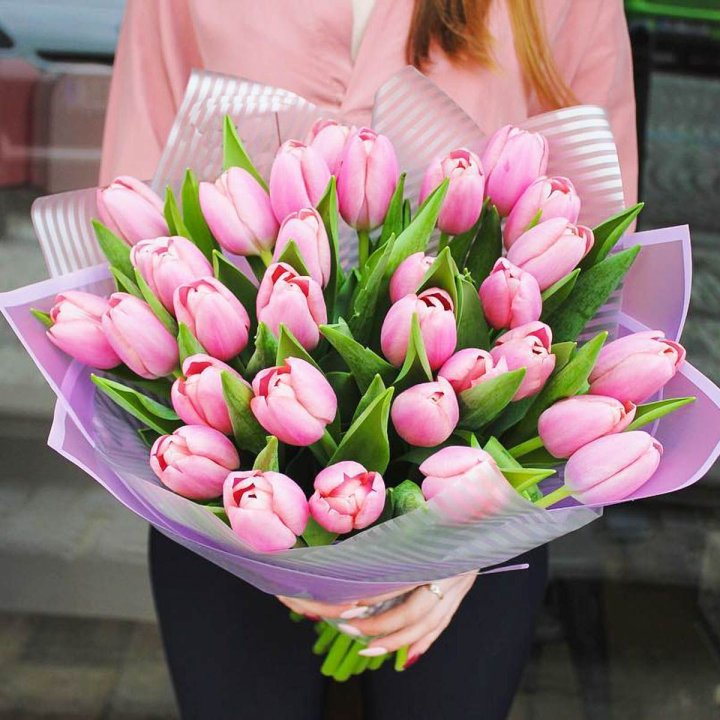 25 тюльпанов "Айс крем" в Севастополи