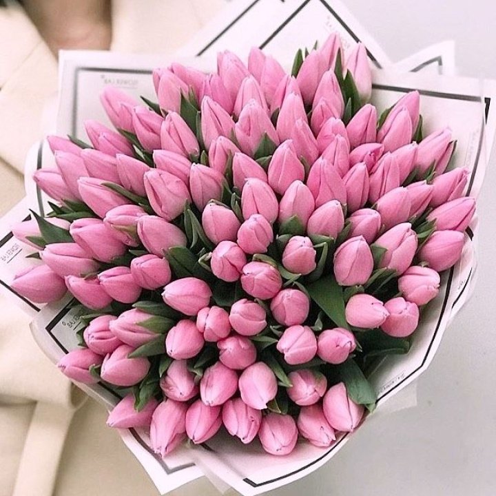 101 розовый тюльпан в белом в Севастополи