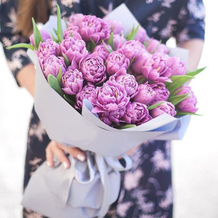 Тюльпаны "Пионс" в Севастополи