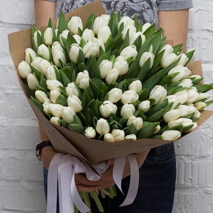 101 тюльпан сноу в Севастополи