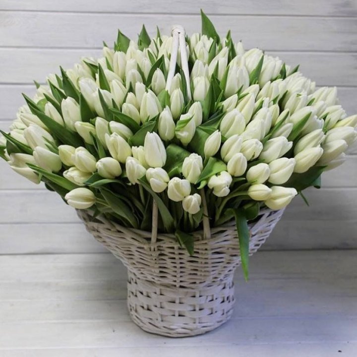 Корзина из 151 тюльпана в Севастополи