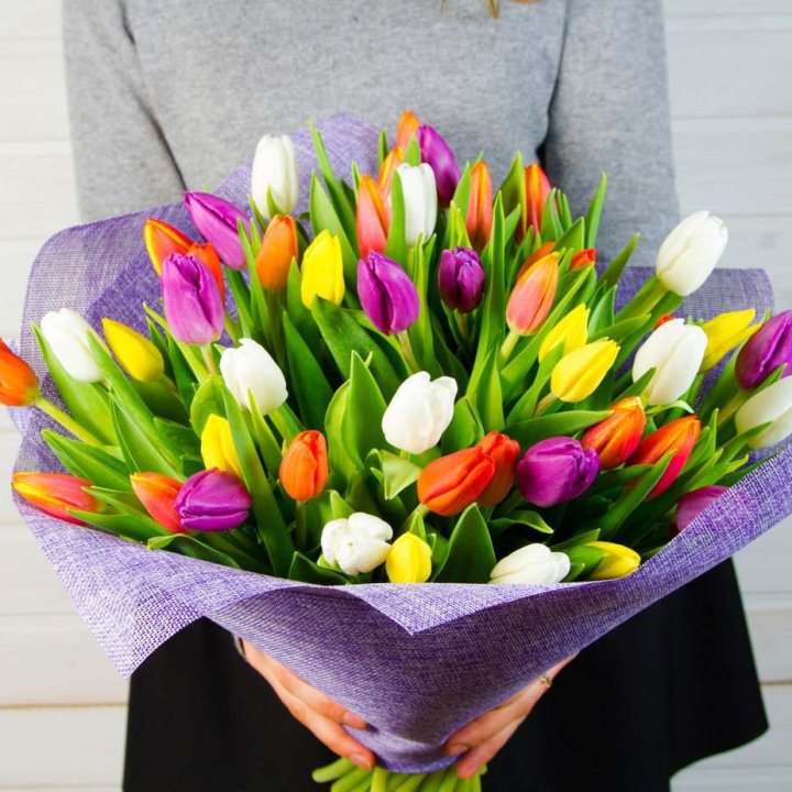 51 тюльпан "Рандом" №2 в Севастополи