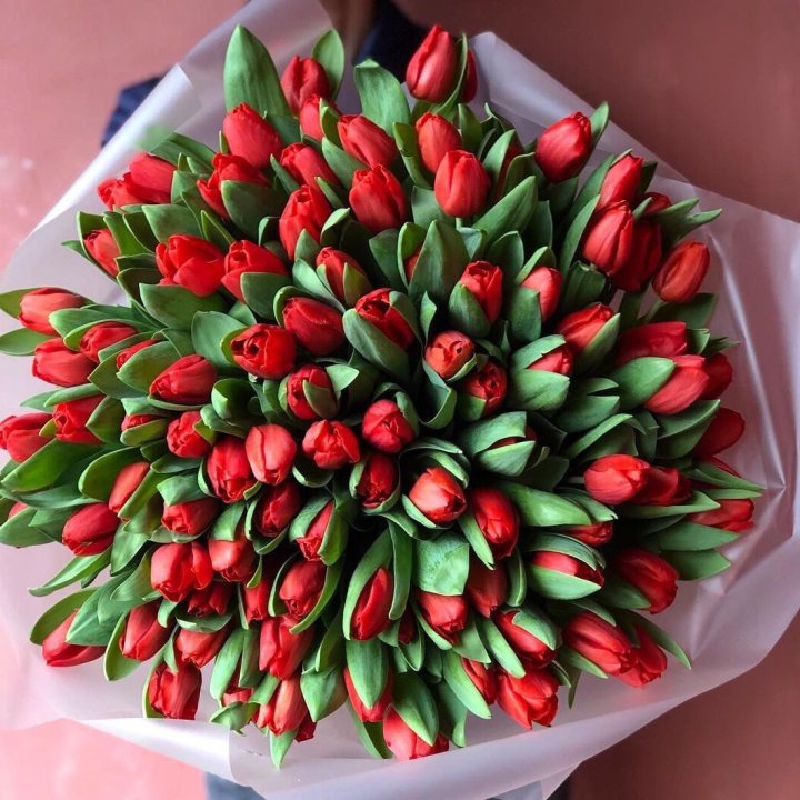 101 красный тюльпан в Севастополи